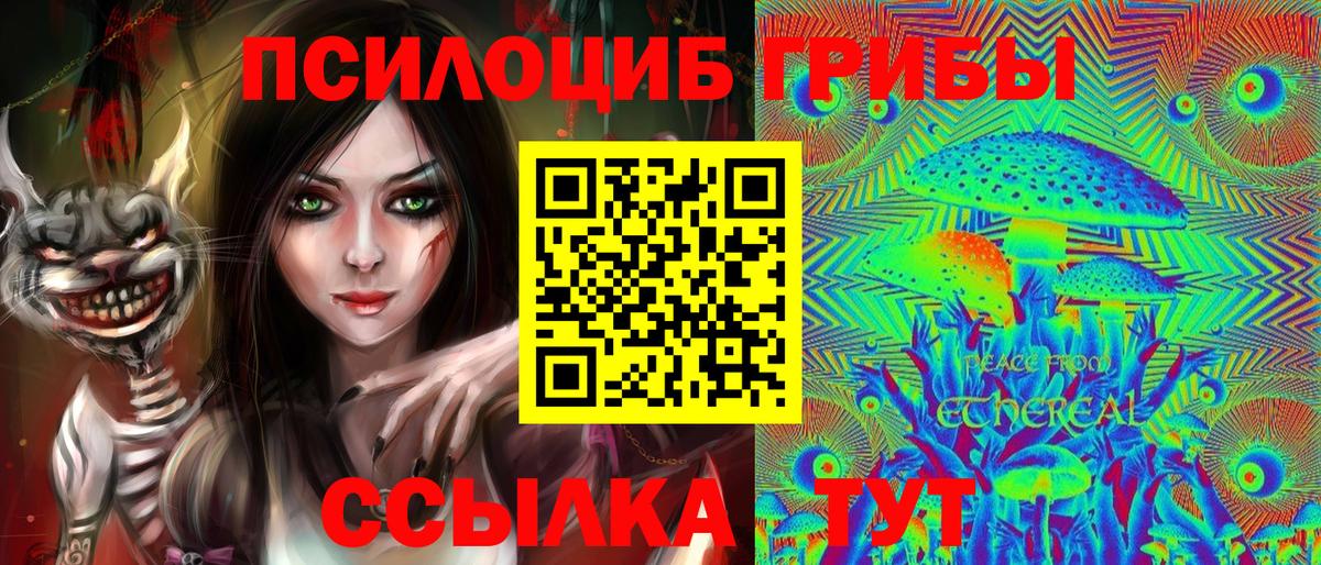Псилоцибиновые грибы Cubensis Медногорск