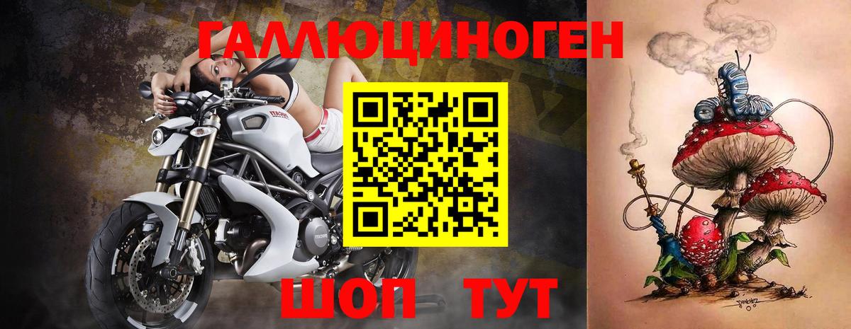 Галлюциногенные грибы GOLDEN TEACHER  Галлюциногенные грибы Magic Shrooms  Медногорск  Вход с VPN 