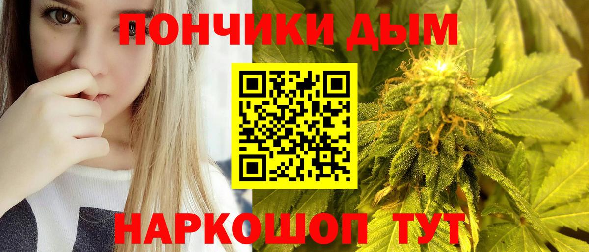 Бошки марихуана марихуана Медногорск